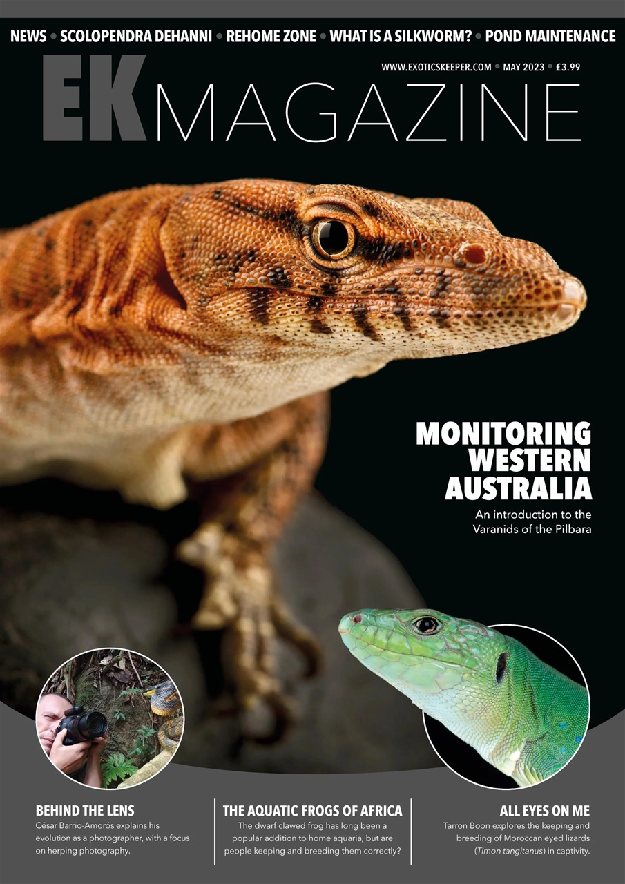 Exotics Keeper Preview Pages