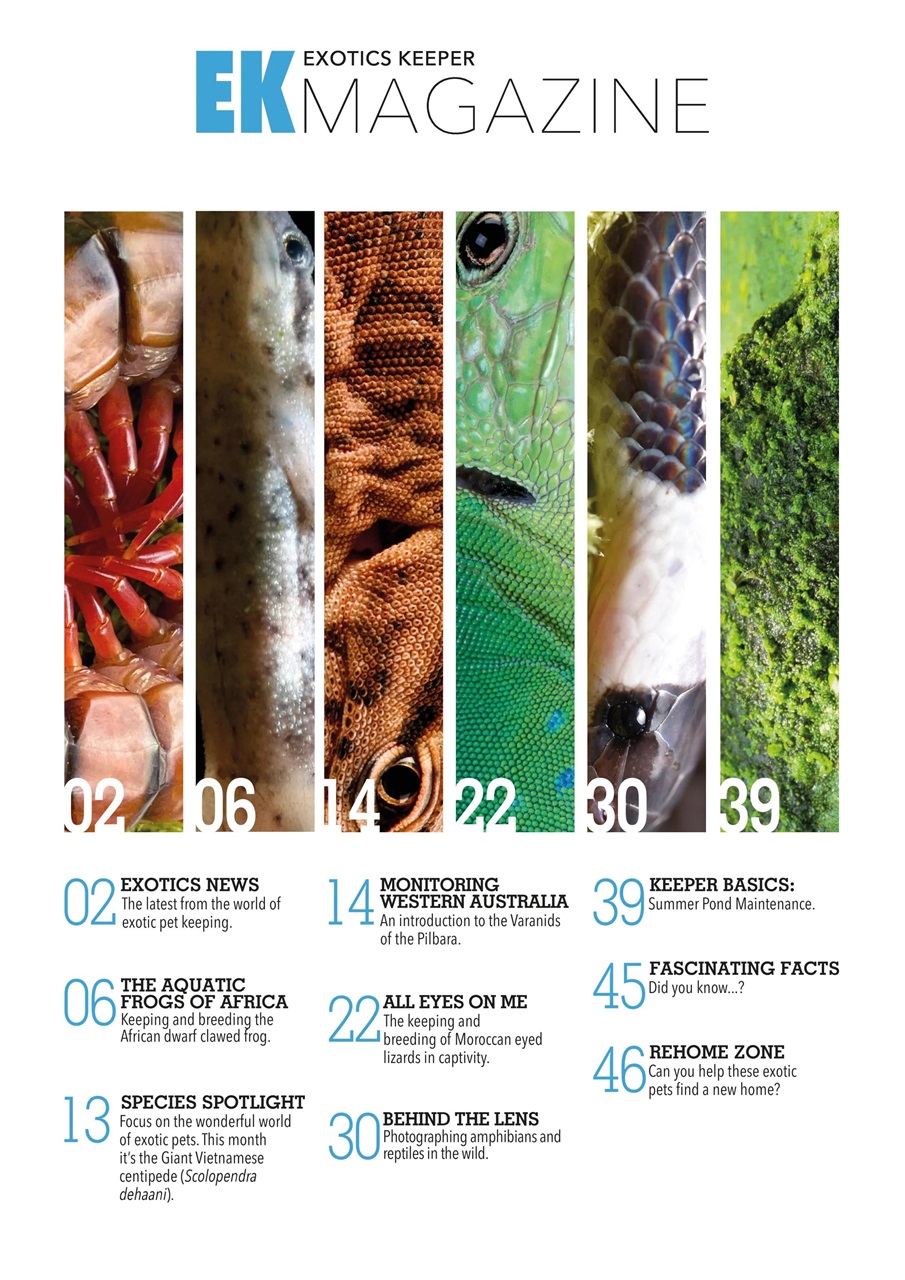 Exotics Keeper Preview Pages