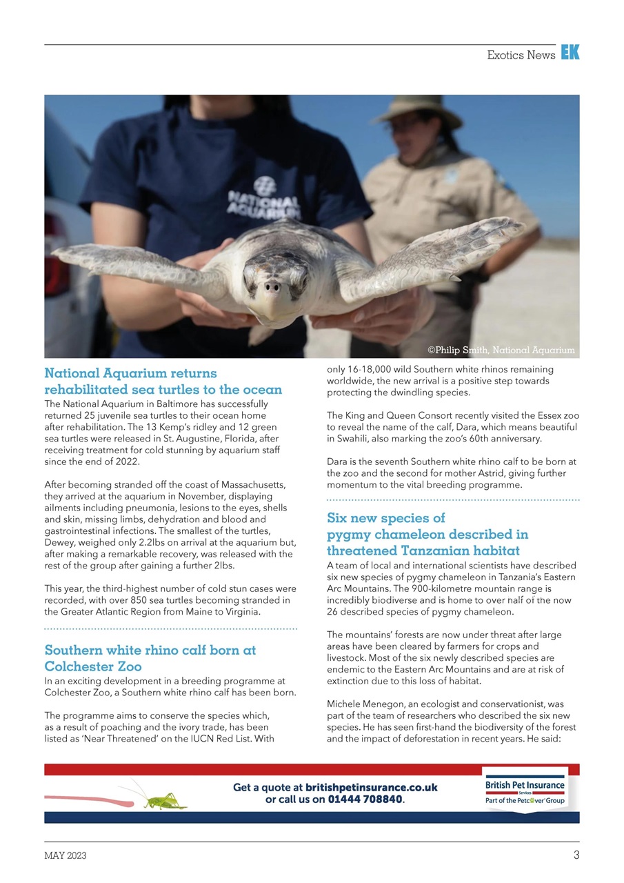 Exotics Keeper Preview Pages