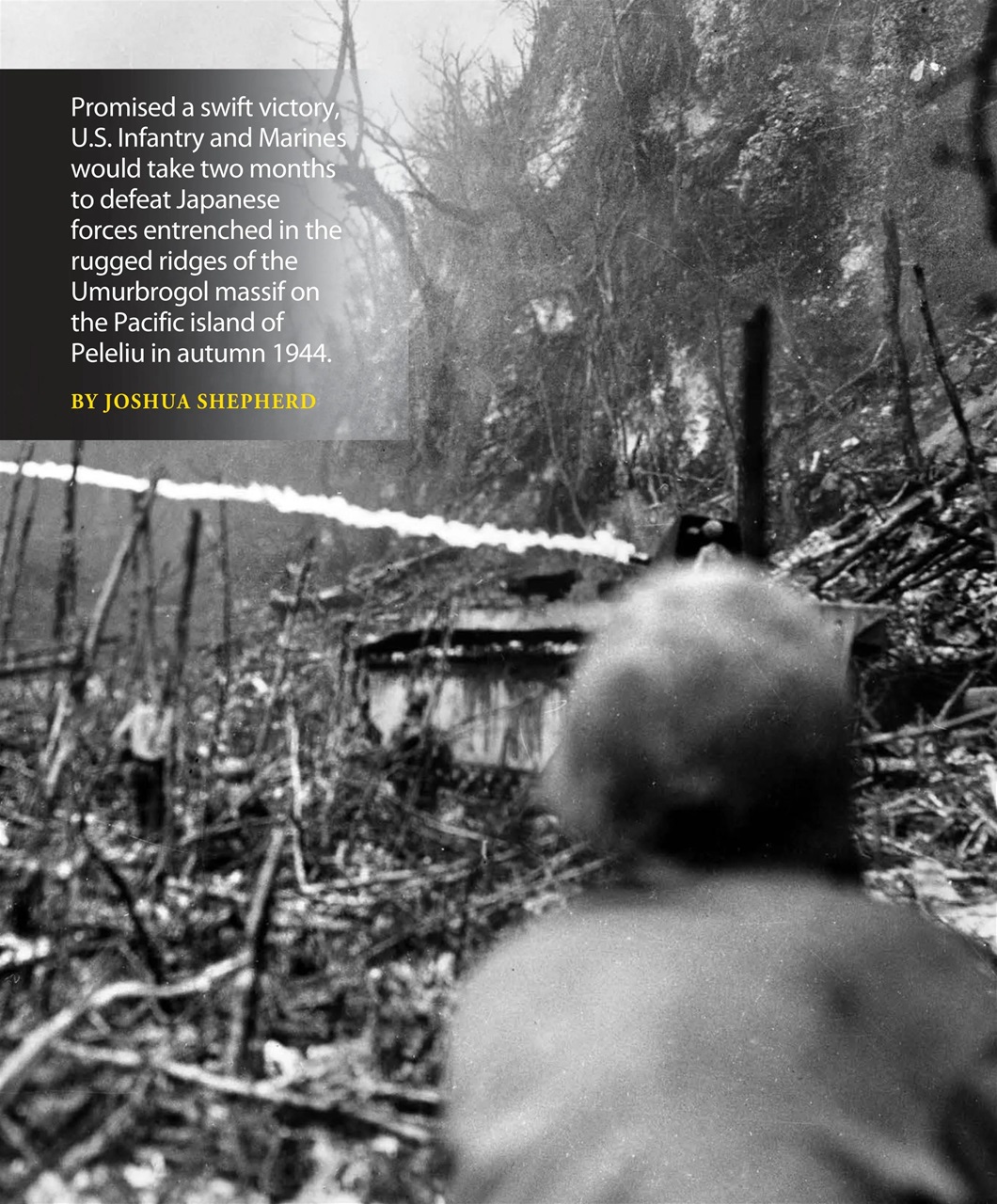 Military Heritage Preview Pages