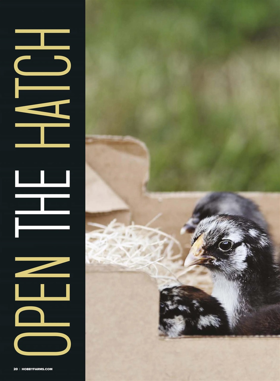 Hobby Farms Magazine Preview Pages