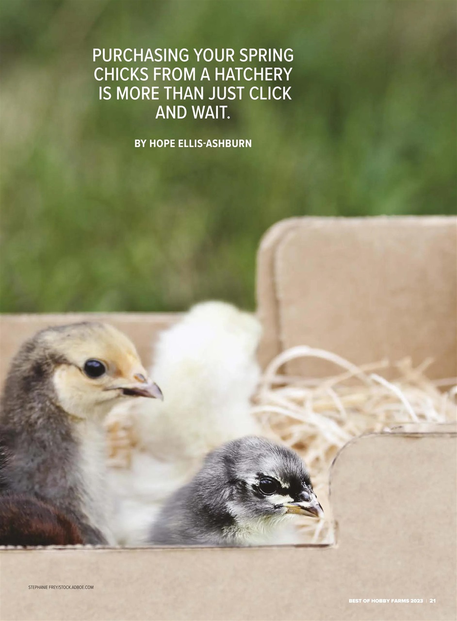 Hobby Farms Magazine Preview Pages