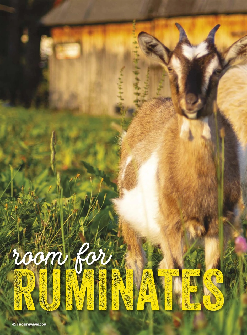 Hobby Farms Magazine Preview Pages