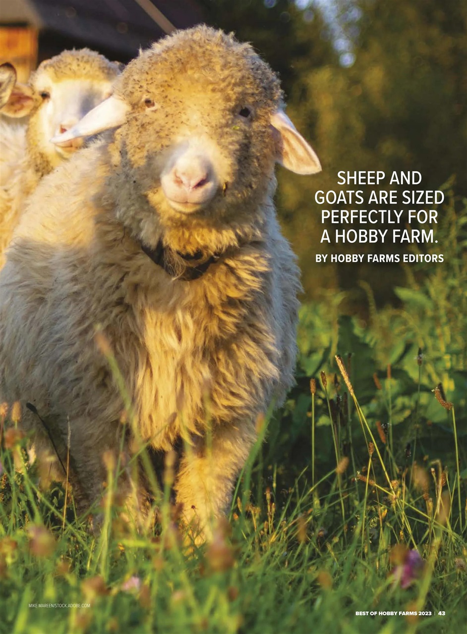 Hobby Farms Magazine Preview Pages