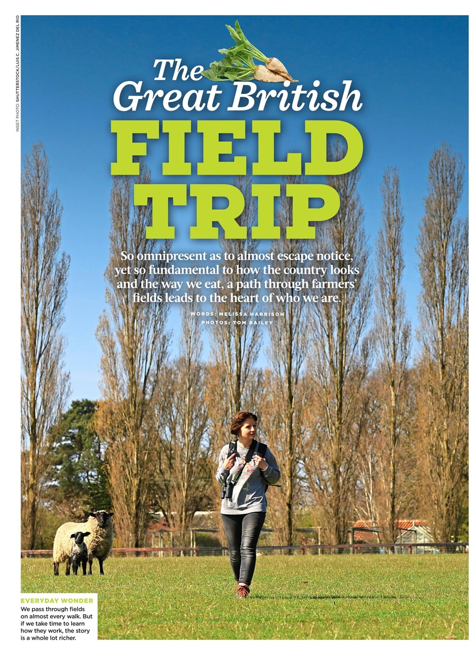 Country Walking Preview Pages