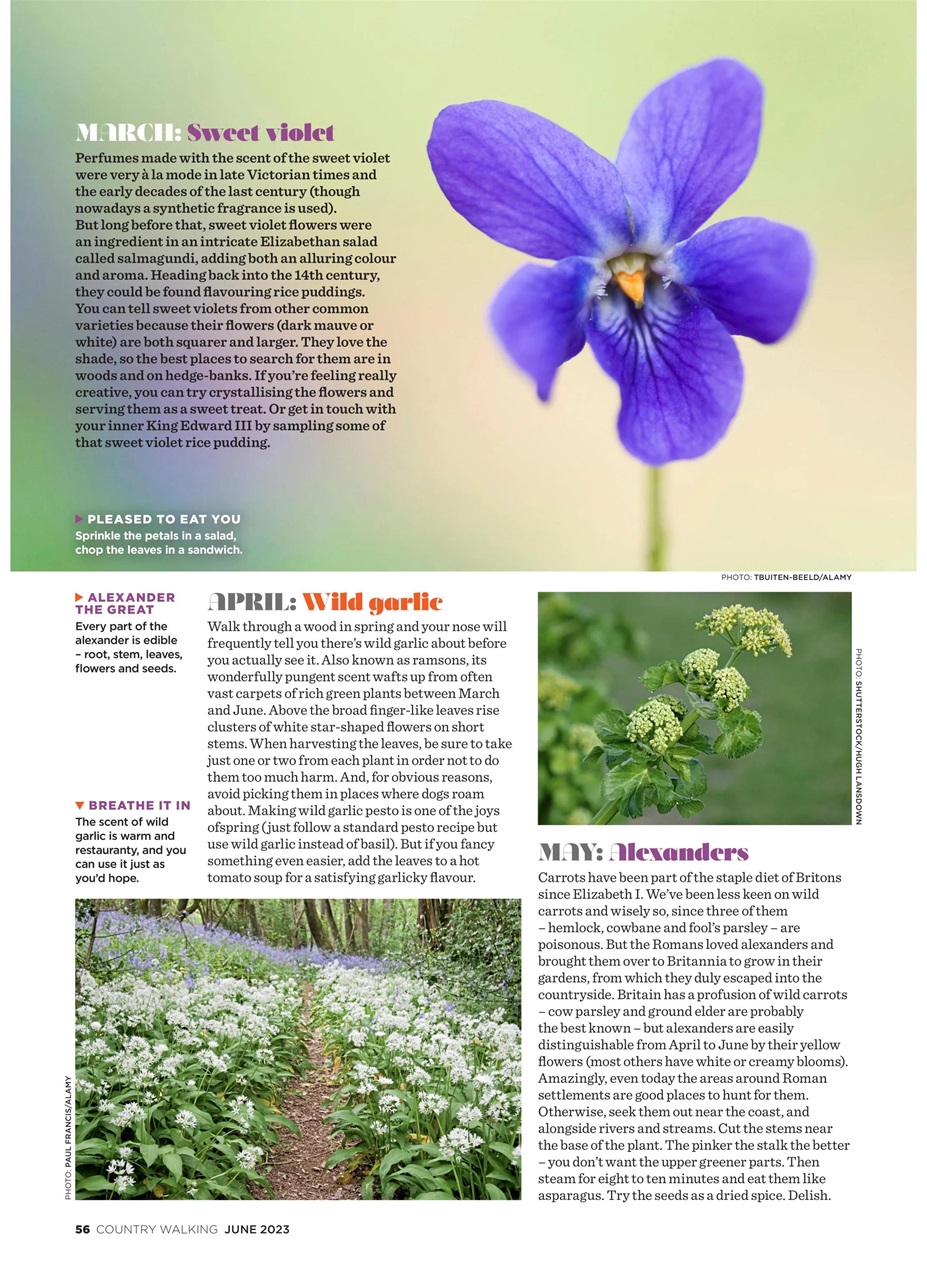 Country Walking Preview Pages