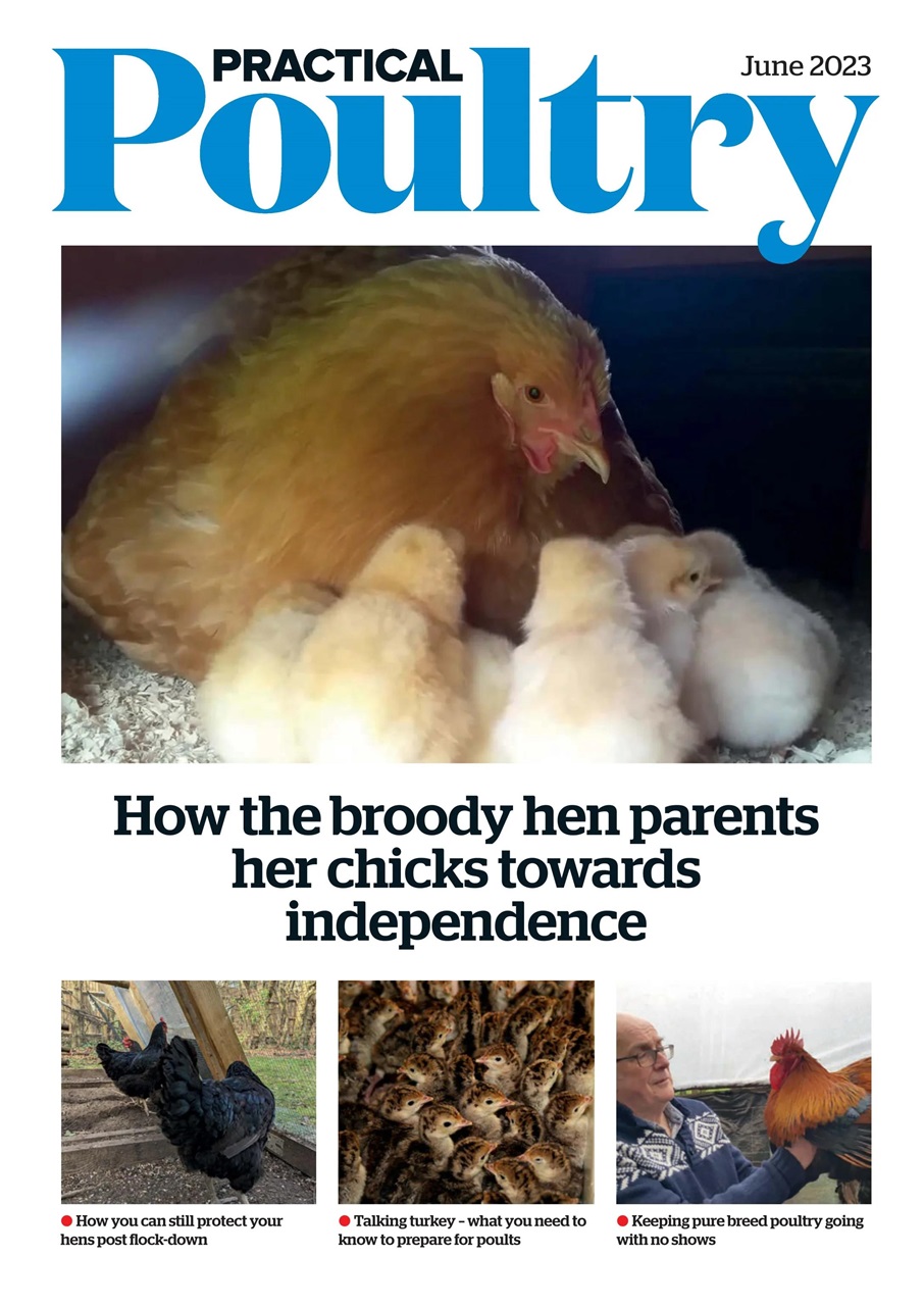 The Country Smallholder Preview Pages