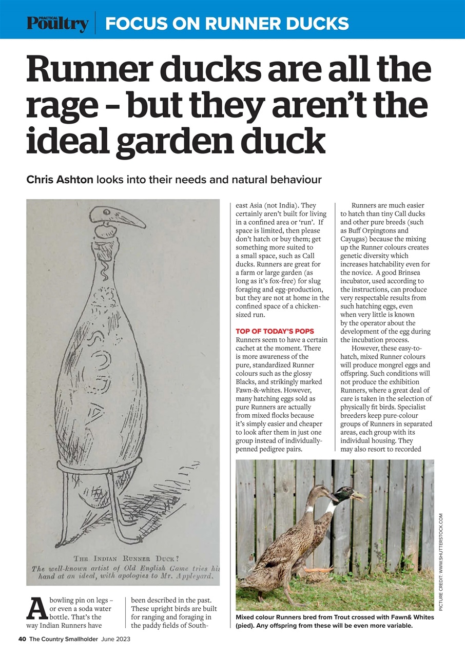 The Country Smallholder Preview Pages