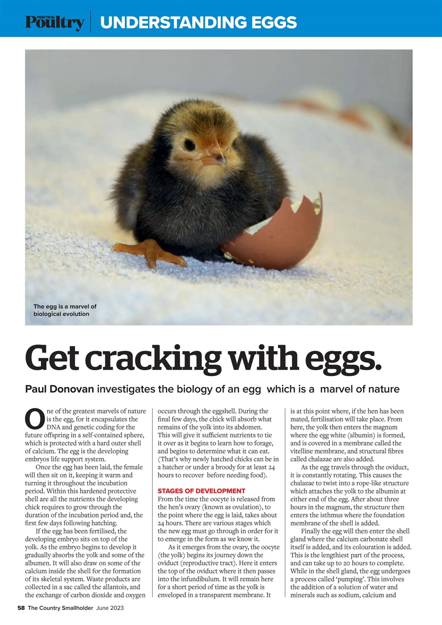 The Country Smallholder Preview Pages