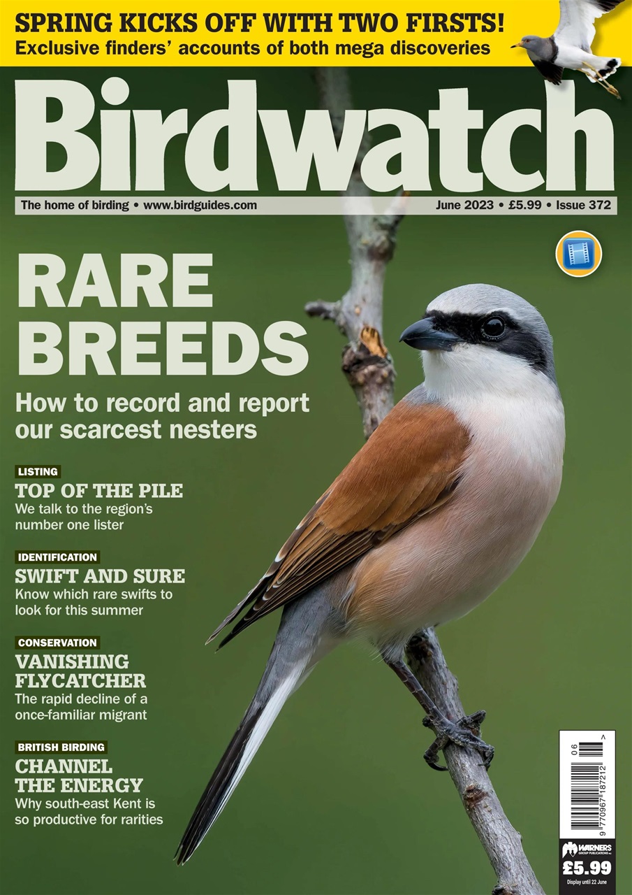 Birdwatch Magazine Preview Pages