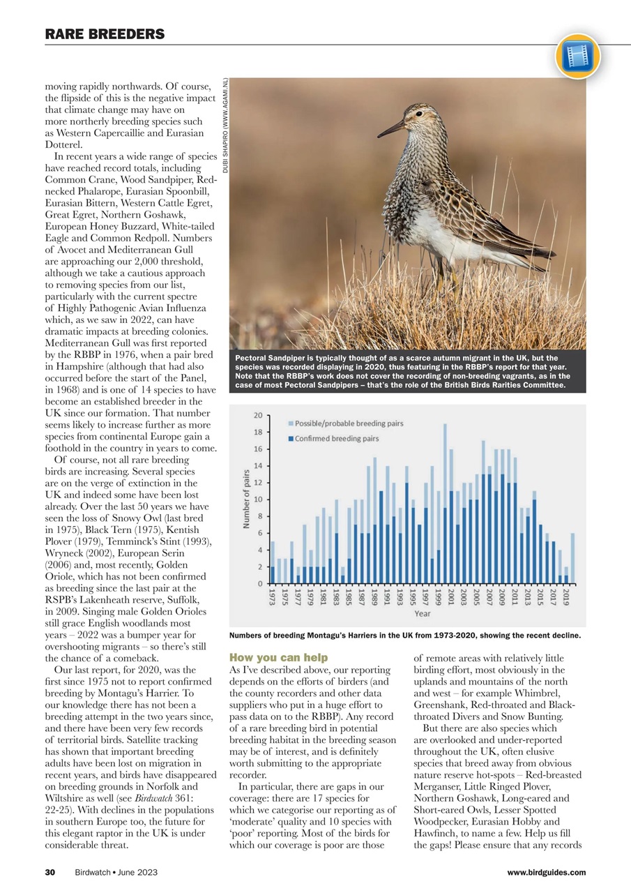 Birdwatch Magazine Preview Pages