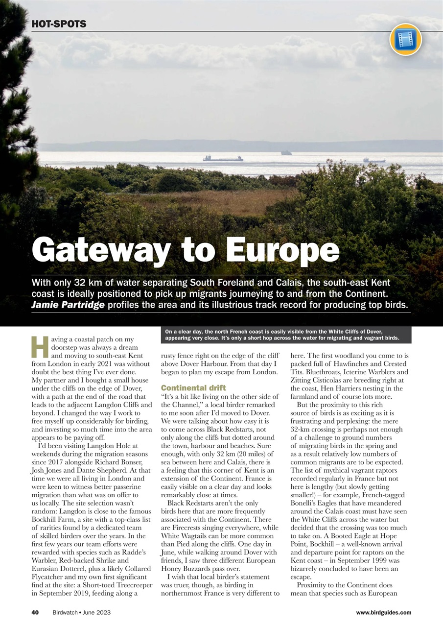 Birdwatch Magazine Preview Pages