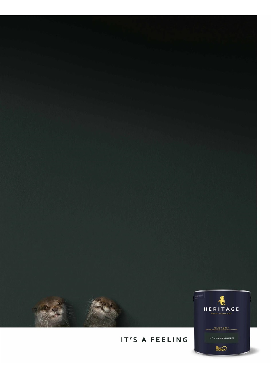 Your Home Magazine Preview Pages