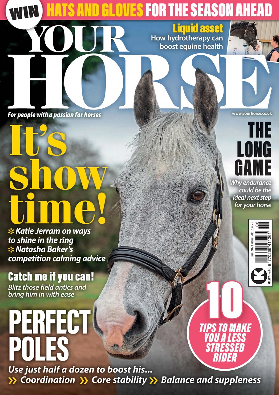 Your Horse Preview Pages
