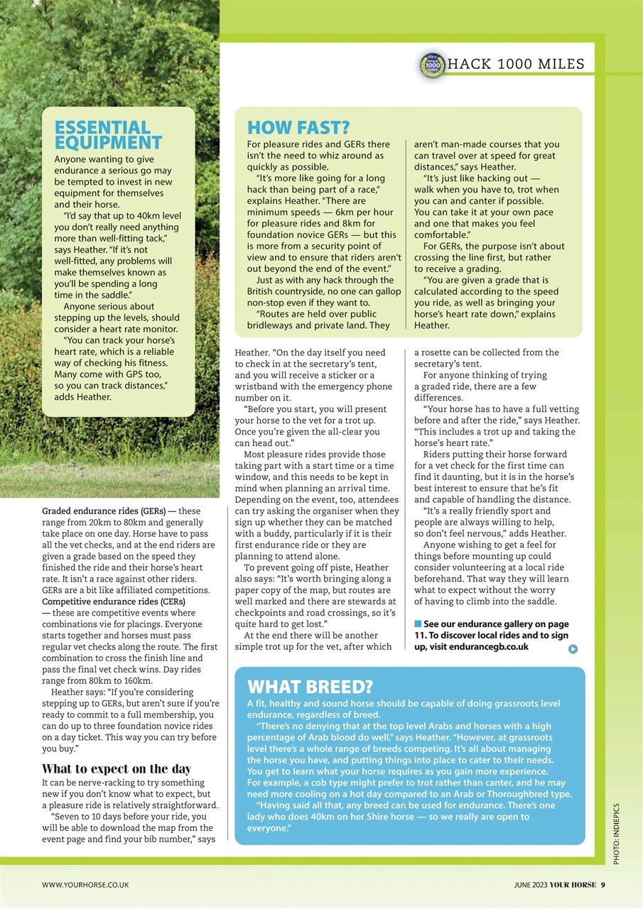Your Horse Preview Pages