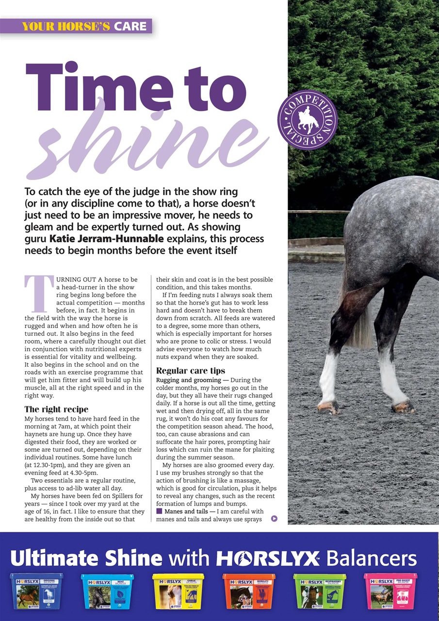 Your Horse Preview Pages