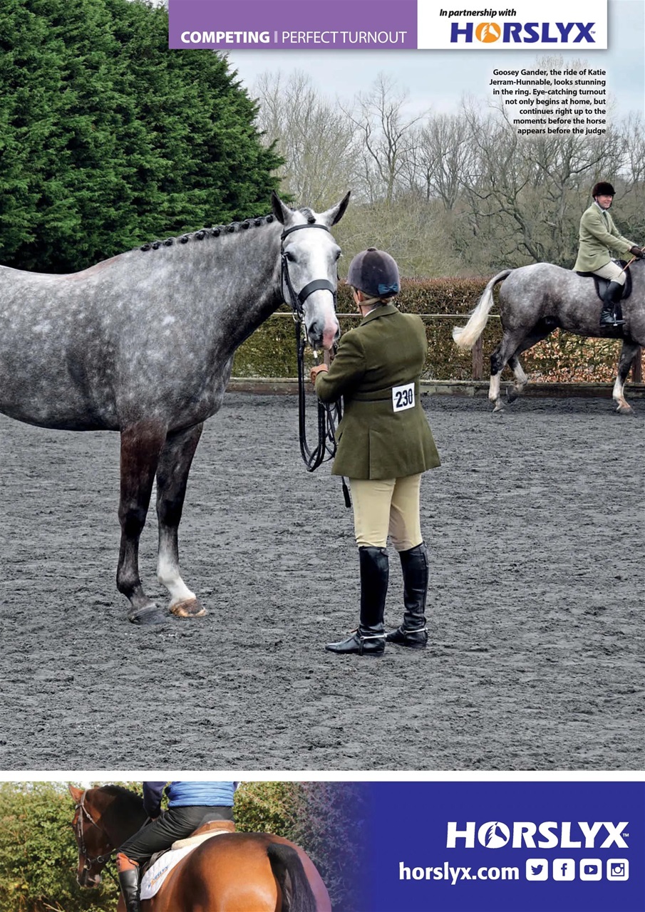 Your Horse Preview Pages