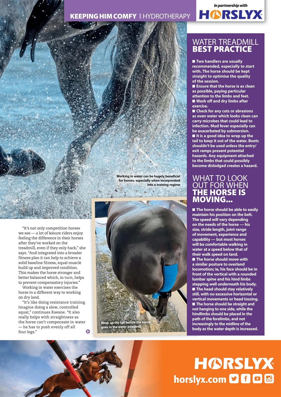 Your Horse Preview Pages