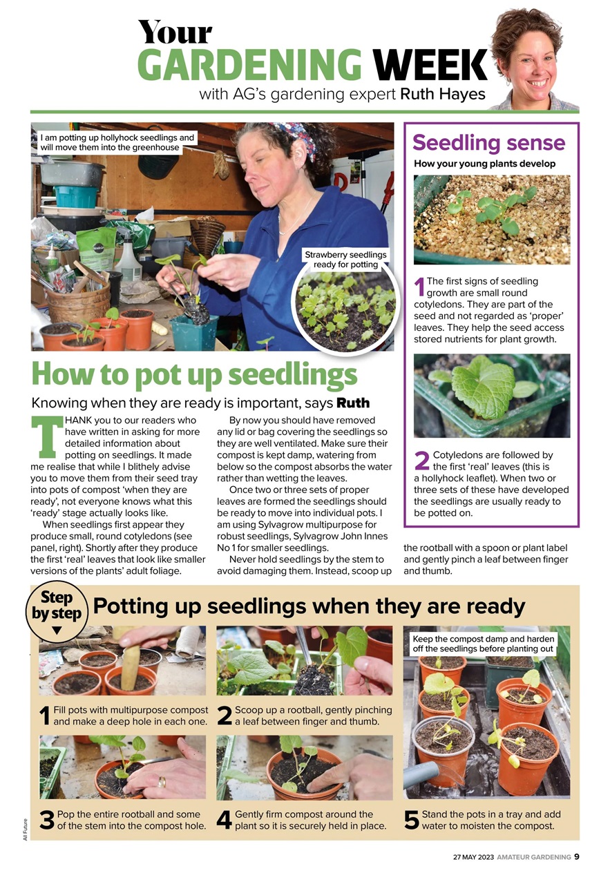 Amateur Gardening Preview Pages
