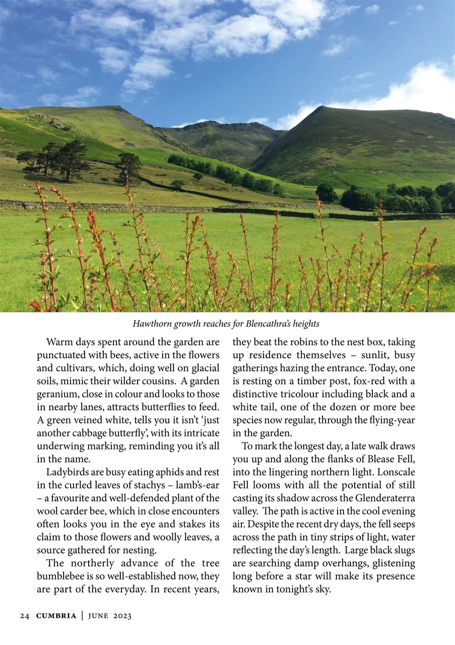 Cumbria and Lakeland Walker Preview Pages