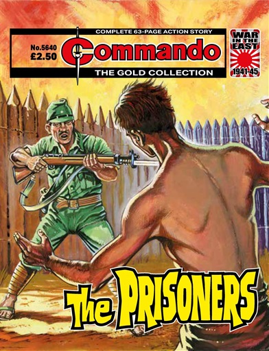 Commando issue 