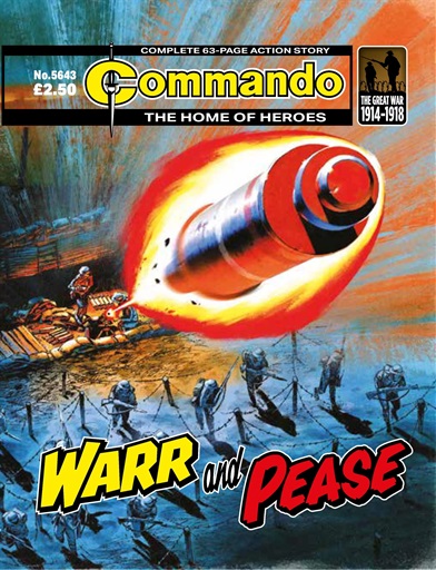 Commando issue 
