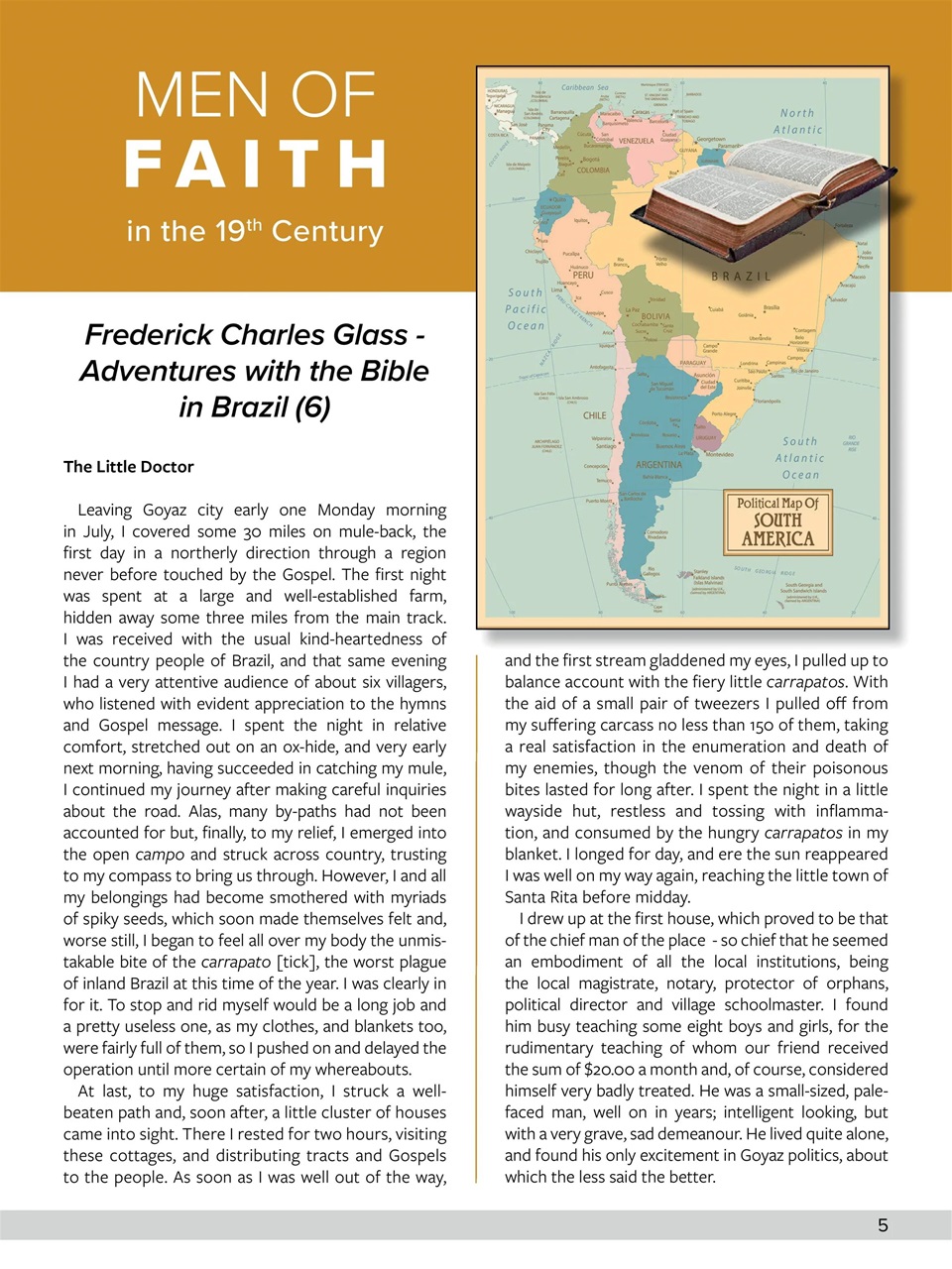 Believer Magazine Preview Pages