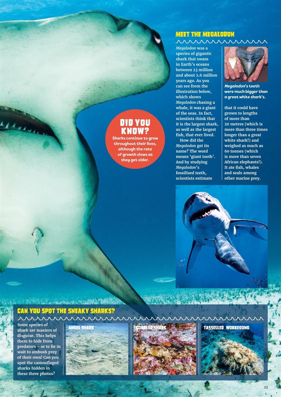 What on Earth! Magazine Preview Pages