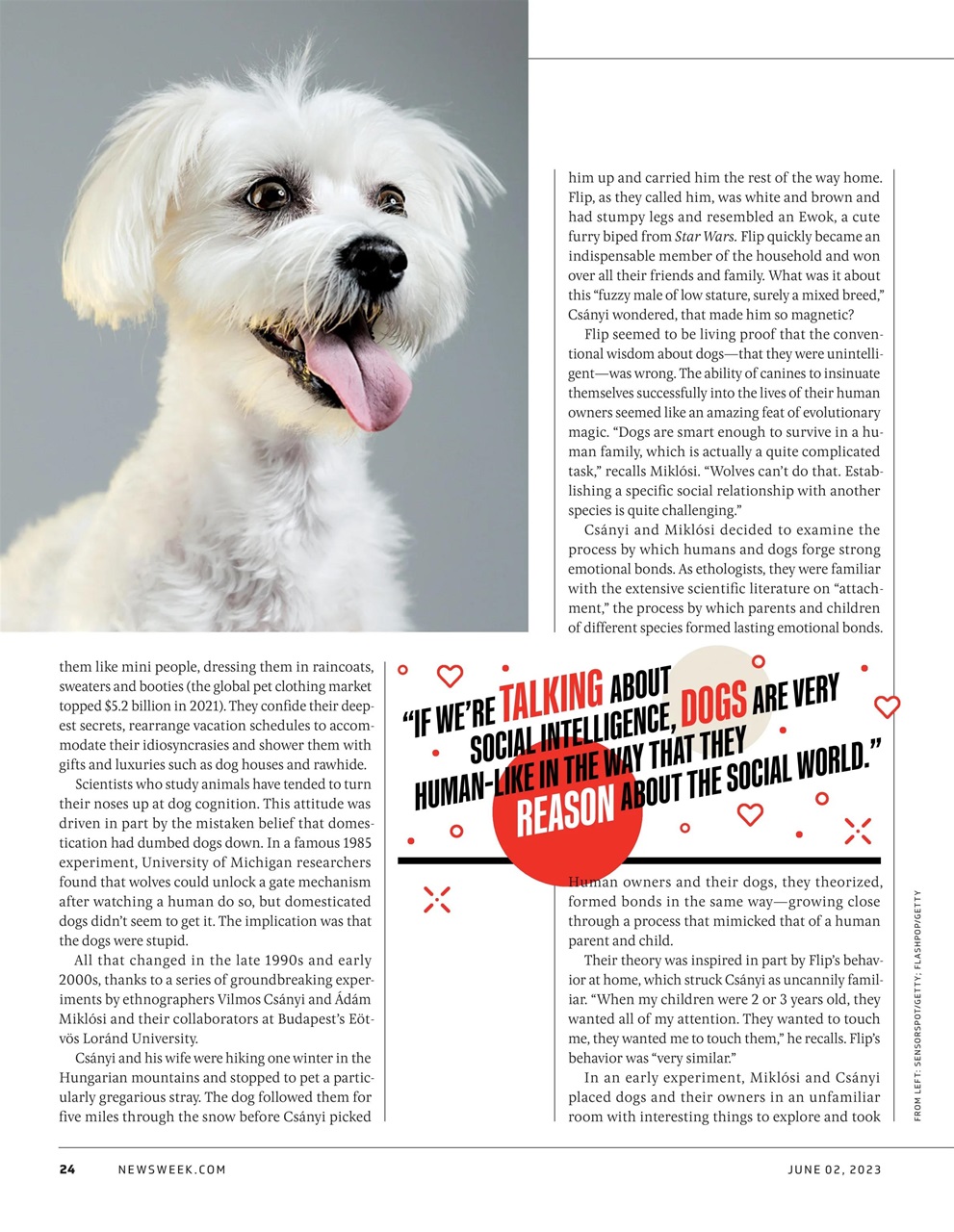 Newsweek International Preview Pages