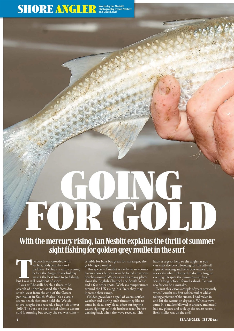 Sea Angler Preview Pages