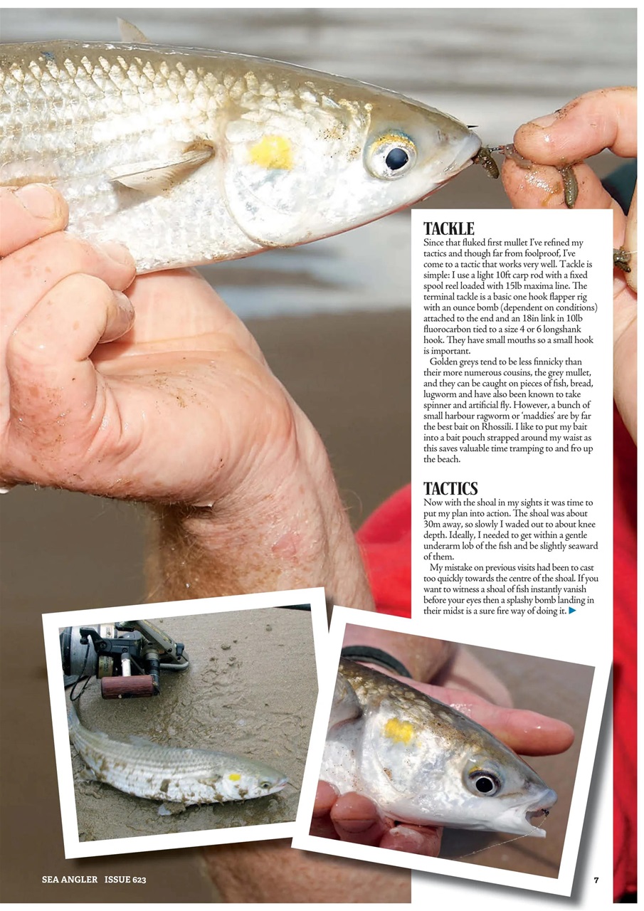 Sea Angler Preview Pages