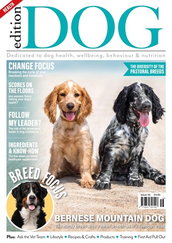 Edition Dog issue Edition Dog Issue 56