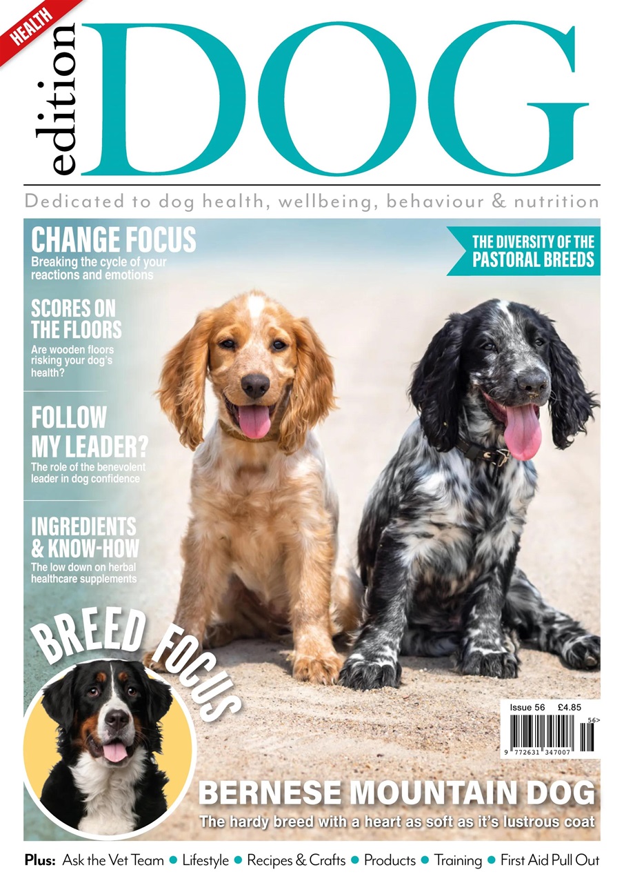 Edition Dog Preview Pages