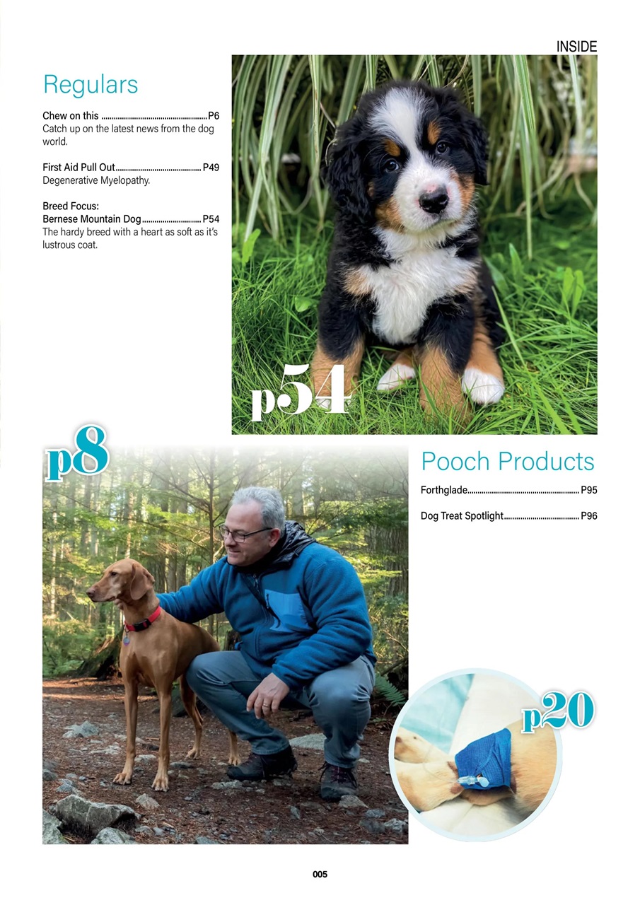 Edition Dog Preview Pages