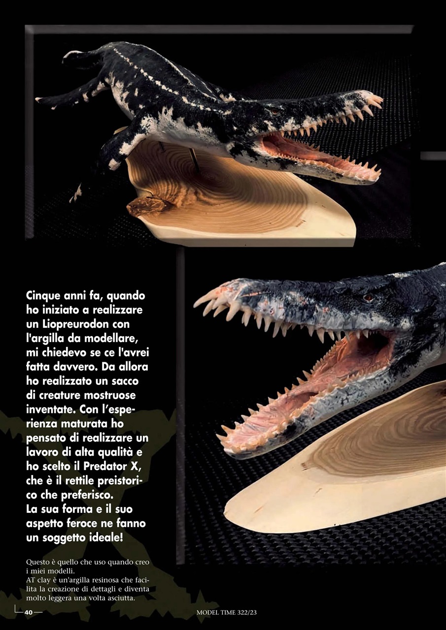 Model Time Preview Pages