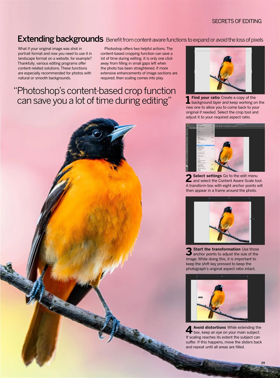 Photography Bookazine Preview Pages