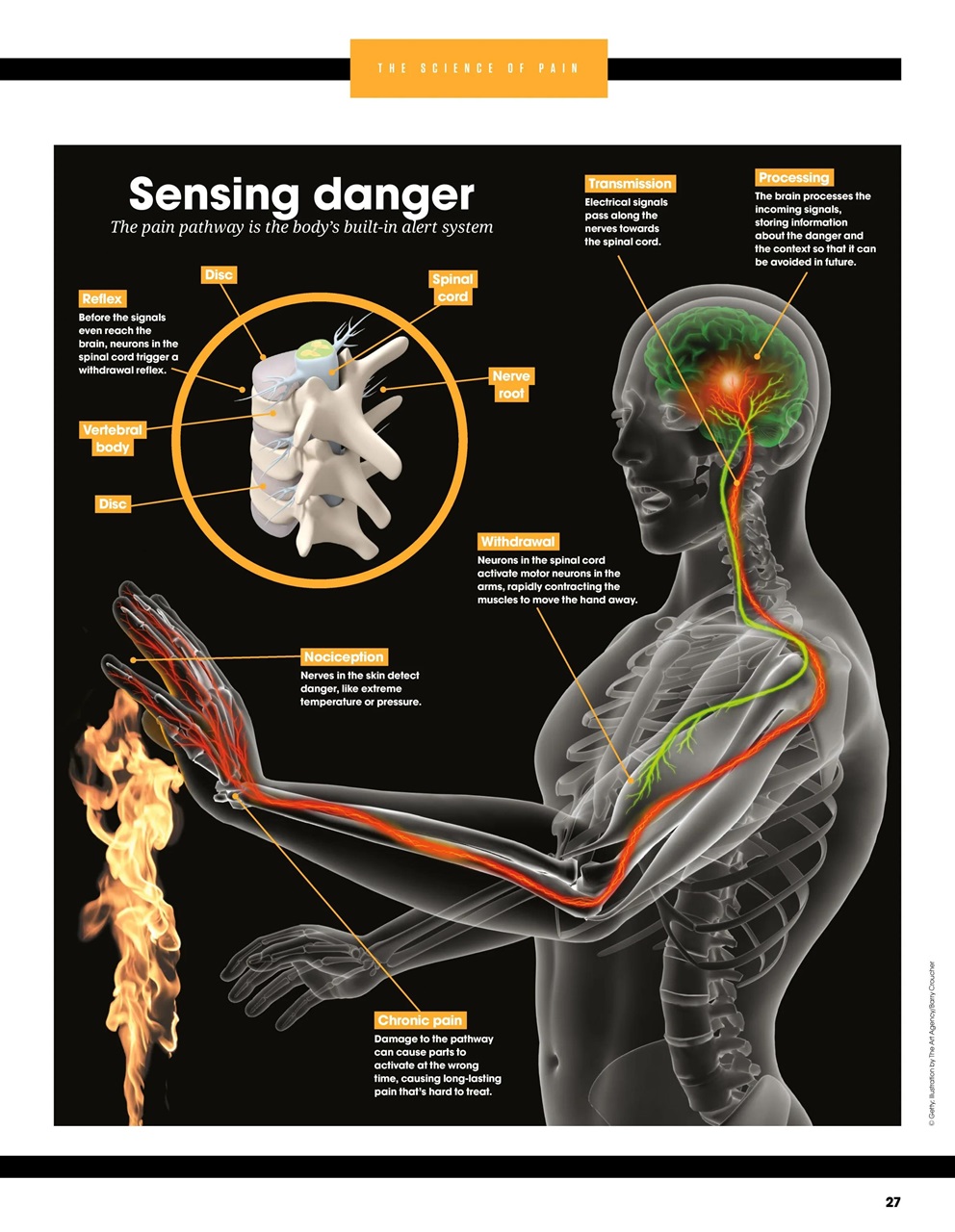 How It Works Bookazine Preview Pages