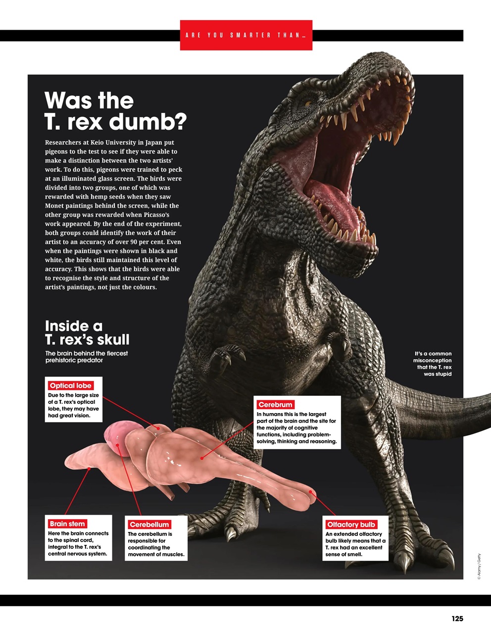 How It Works Bookazine Preview Pages