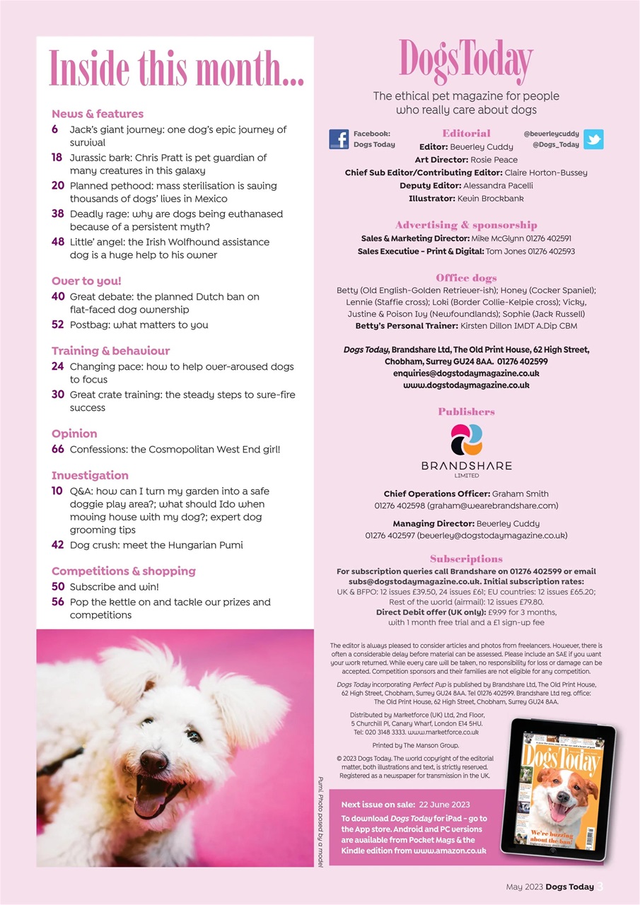 Dogs Today Magazine Preview Pages