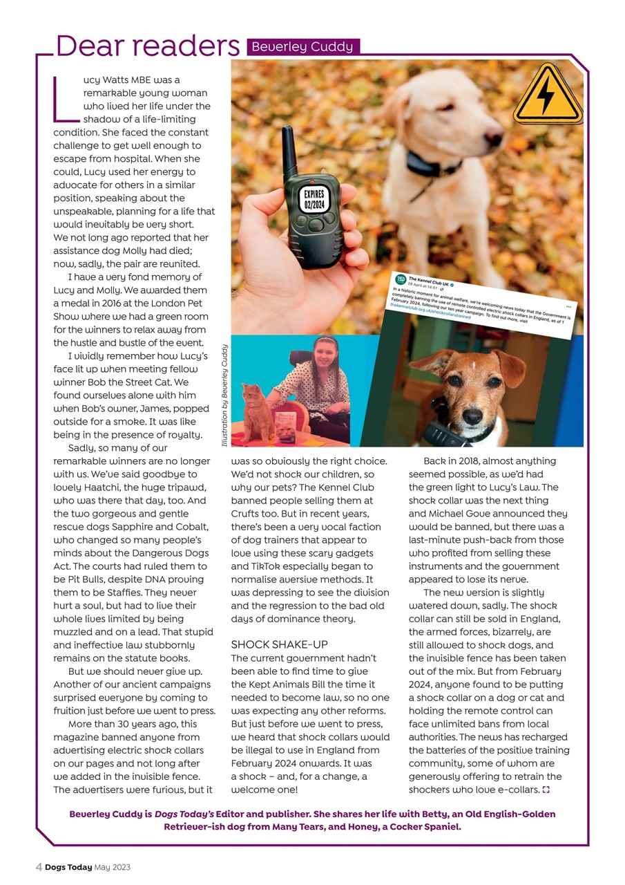 Dogs Today Magazine Preview Pages