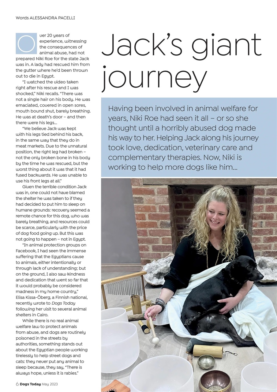 Dogs Today Magazine Preview Pages