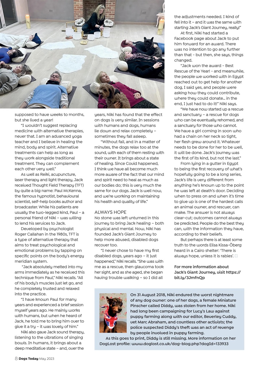 Dogs Today Magazine Preview Pages