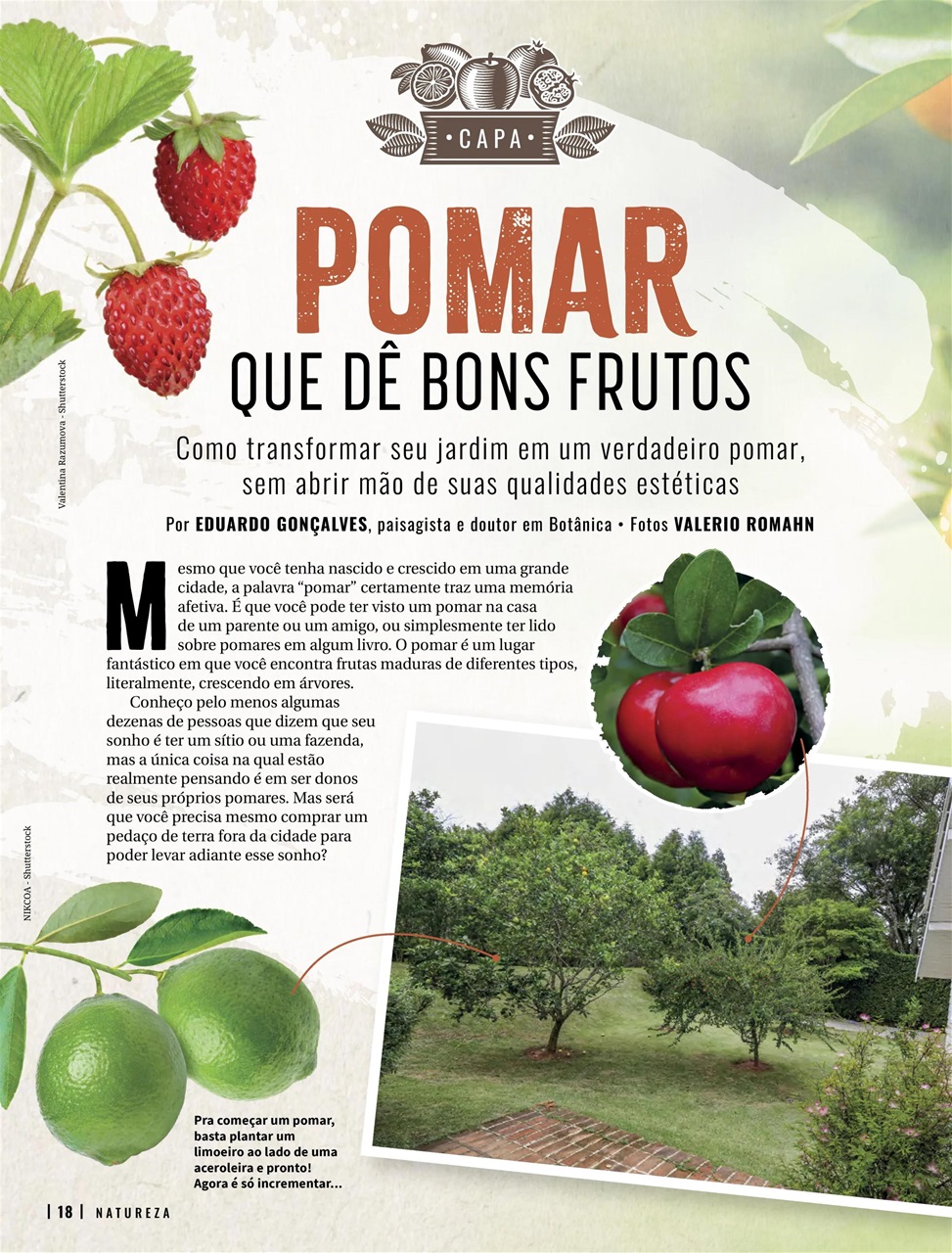 Natureza Preview Pages