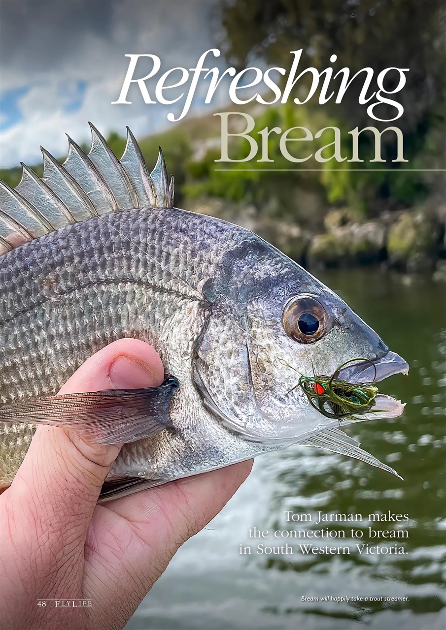 FlyLife Preview Pages