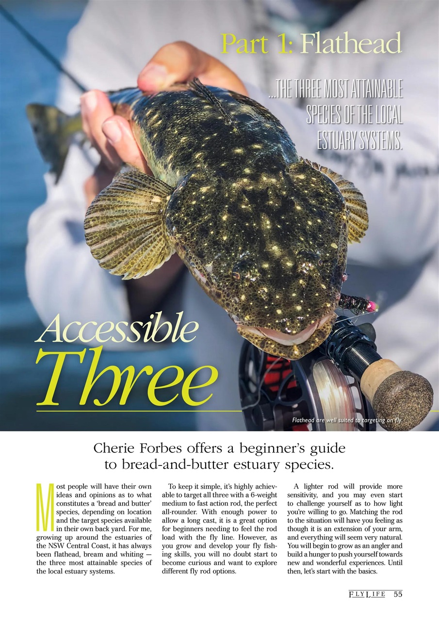 FlyLife Preview Pages