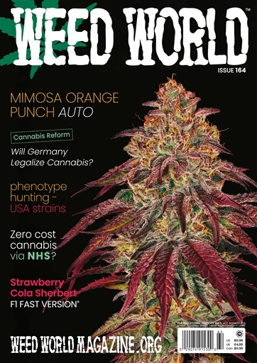 Weed World issue 