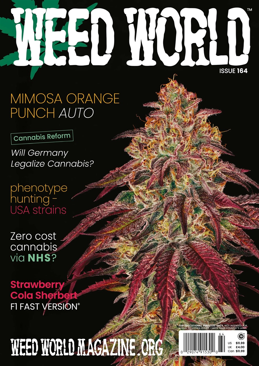 Weed World Preview Pages