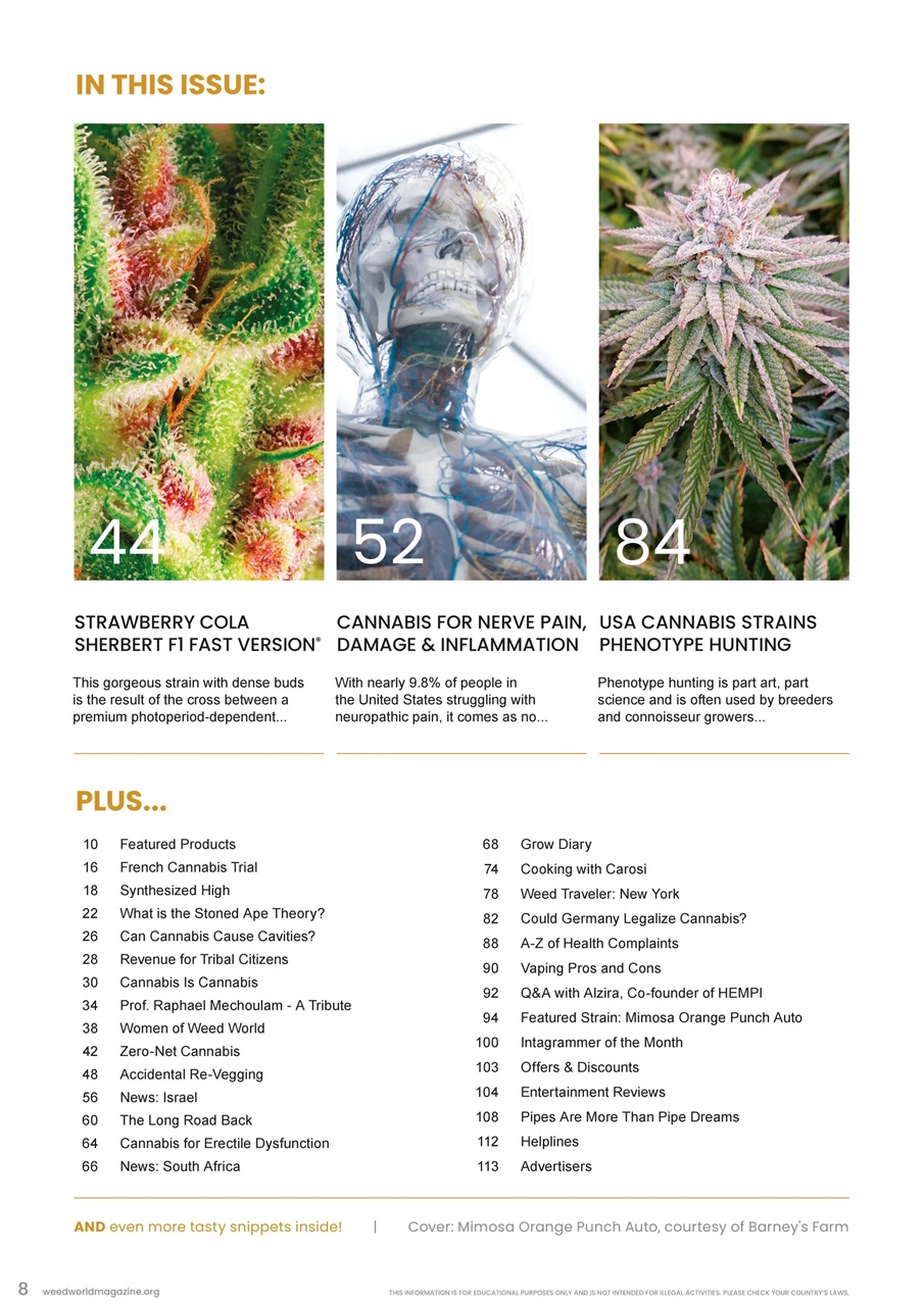 Weed World Preview Pages