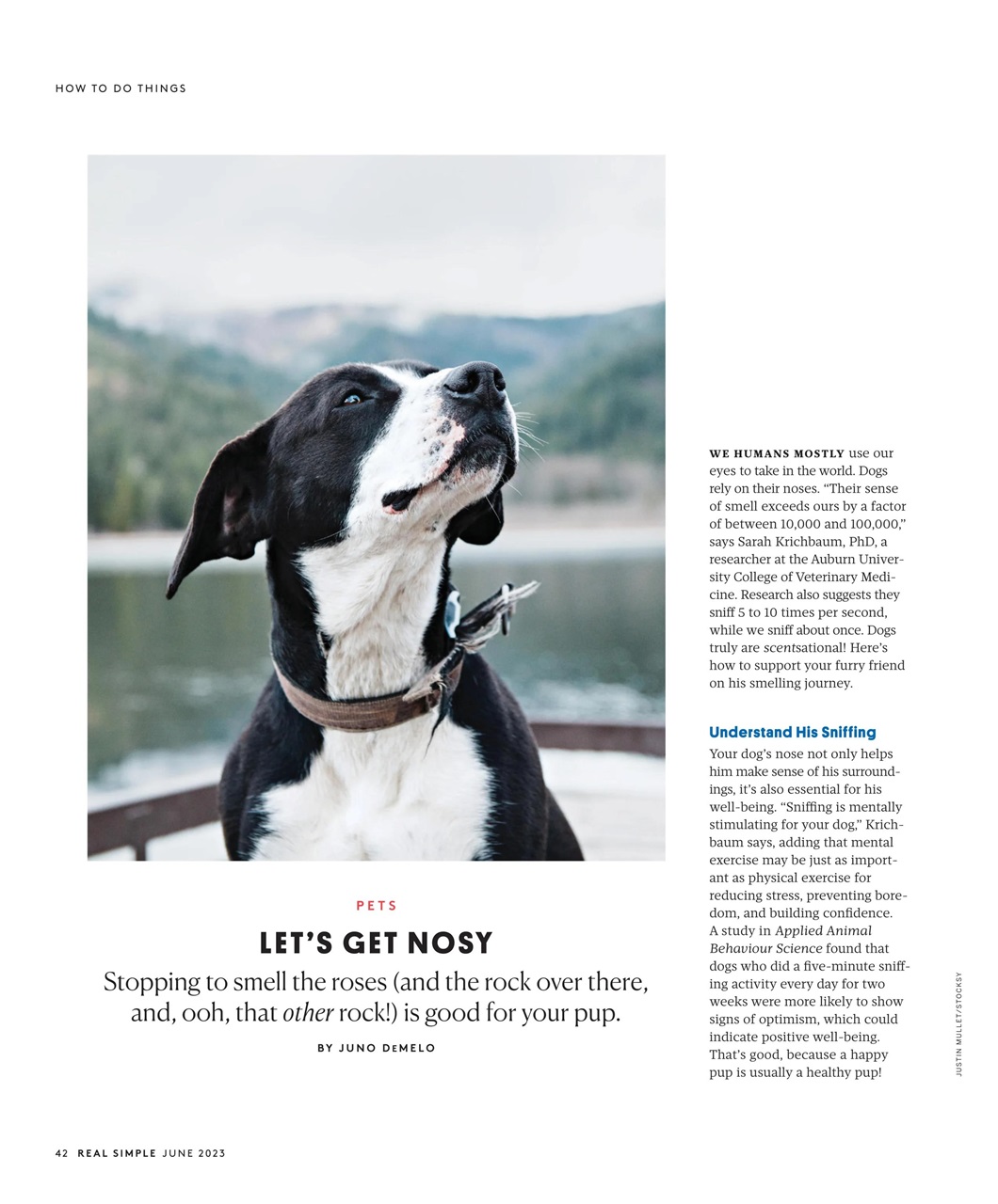 Real Simple Preview Pages