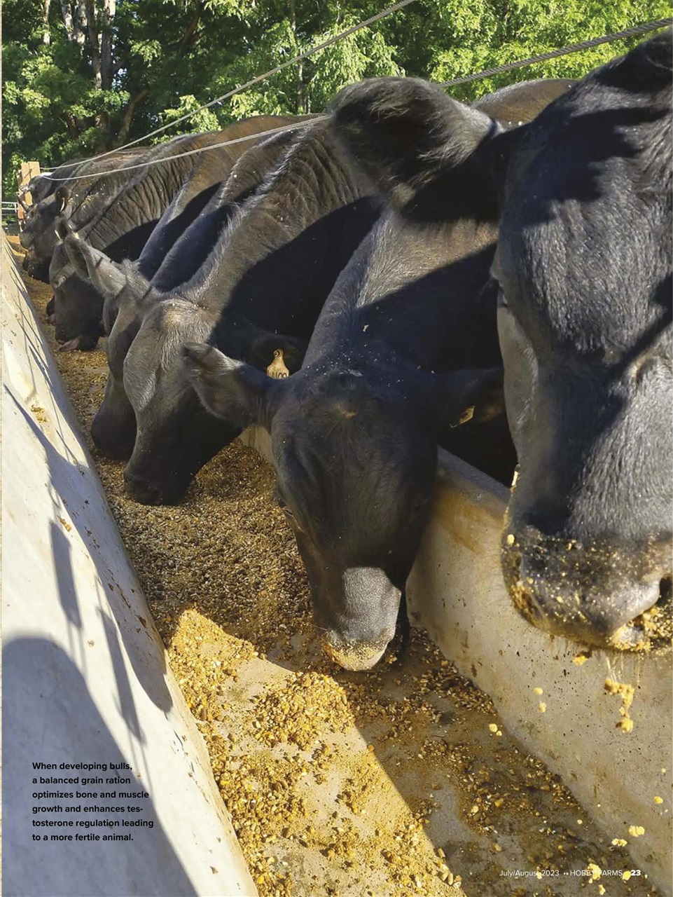 Hobby Farms Magazine Preview Pages